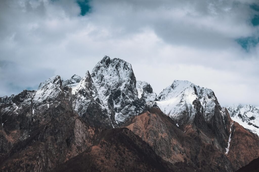 Himalayan Shilajit